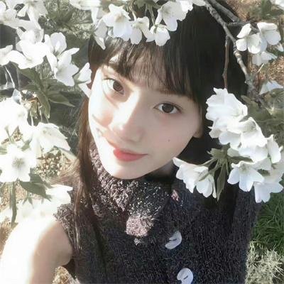 梦里乾坤