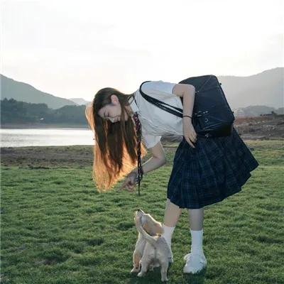 野良猫洛克:女番长